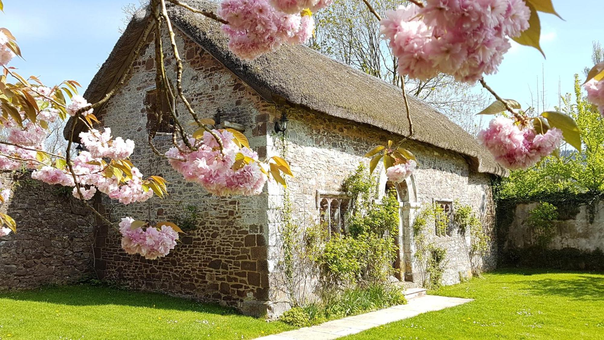 Villa Bickleigh Castle Tiverton  Esterno foto