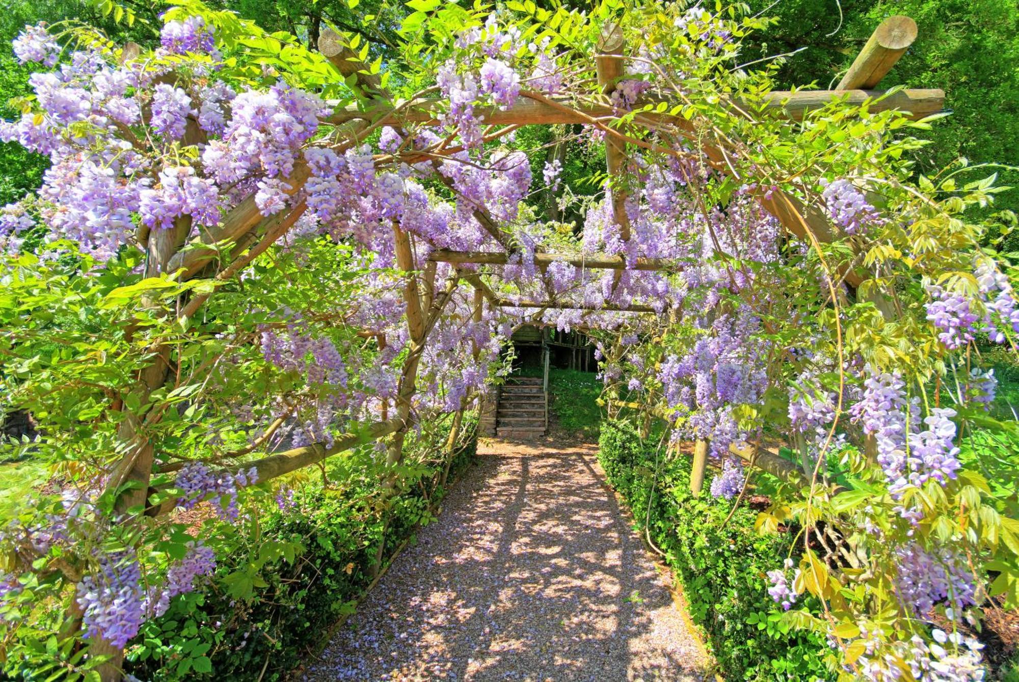 Villa Bickleigh Castle Tiverton  Esterno foto